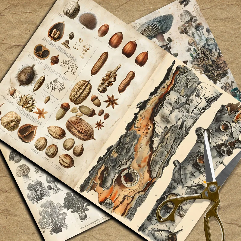 Nieuw Vintage Materiaal Papier - Vintage Things Collection recensie en prijs